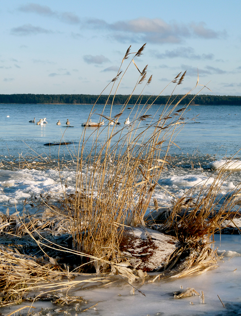 Käsmu lahel