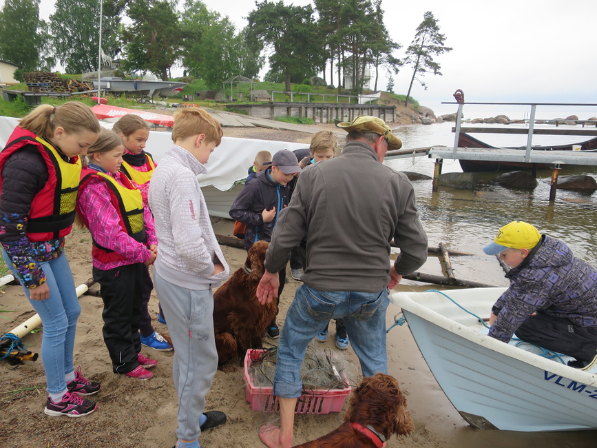 2015 Noor kalur laagrilised võrkudega rannas