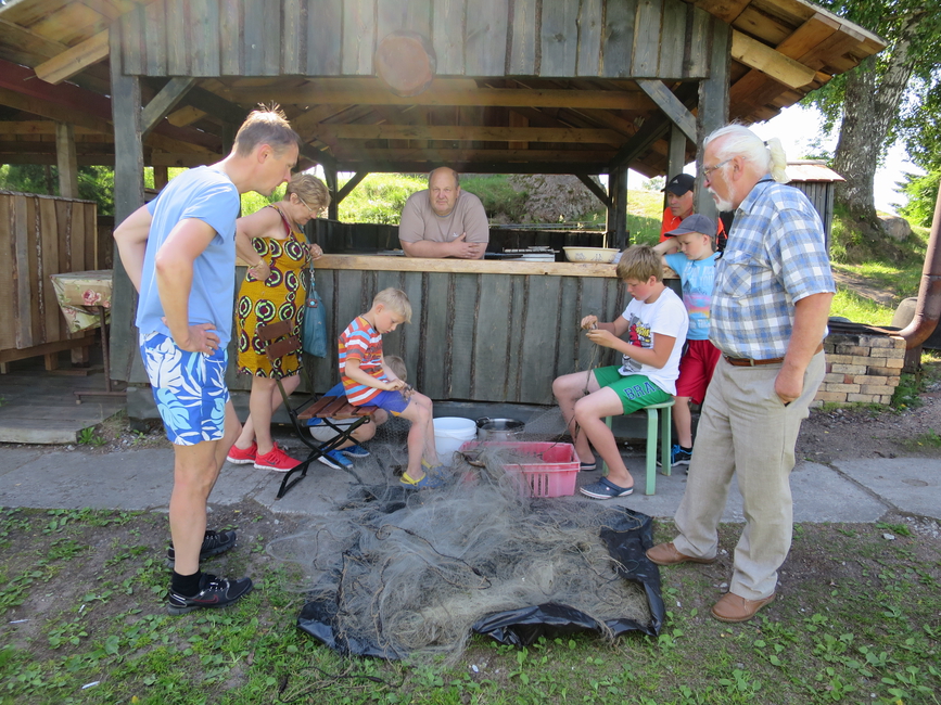 Võrkude puhastamine