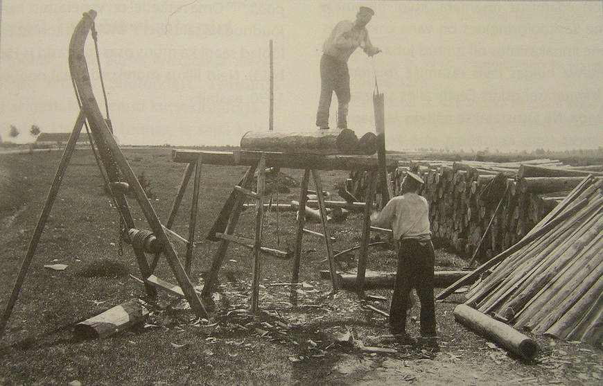 Muhulased laudu saagimas. Foto Johannes Pääsuke 1913