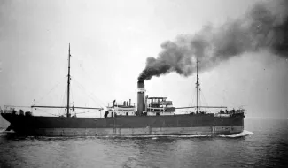 A/L Ella merel