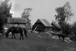 Käsmu Meremuuseum - Klama, taamal Otsuustalu maja