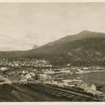 Narvik