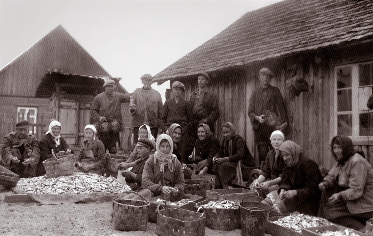 Käsmu rahvas 1936.a. Võrkneemes kala rookimas Allikas: Aarne Vaigu erakogu