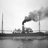 A/L Ella merel