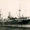 A/L Signe kai ääres