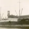 A/L Sigrid