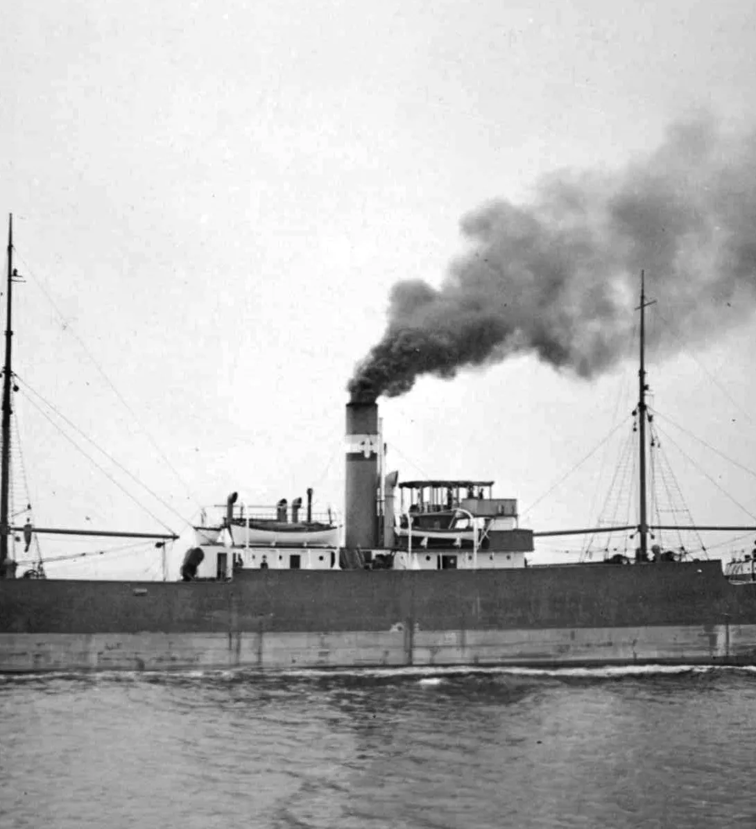 A/L Ella merel