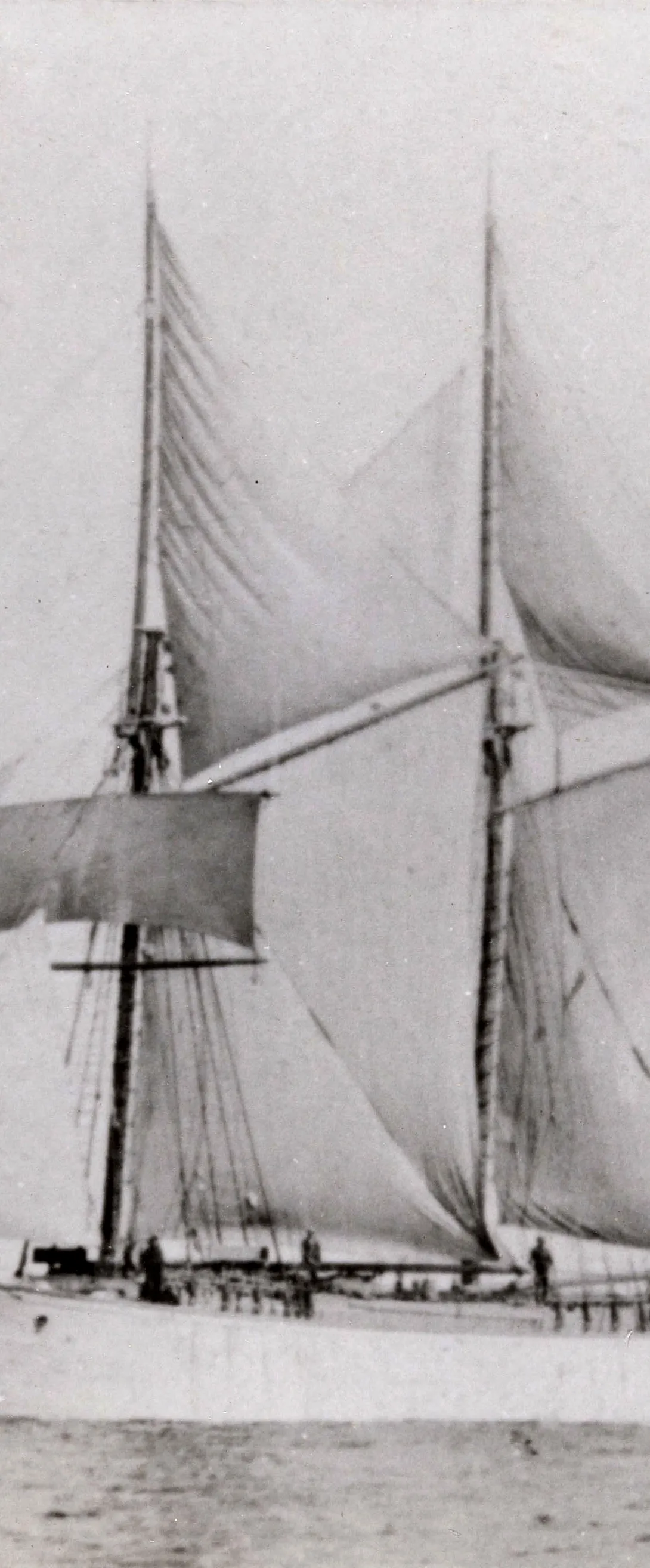 P/L Reinhard täispurjes