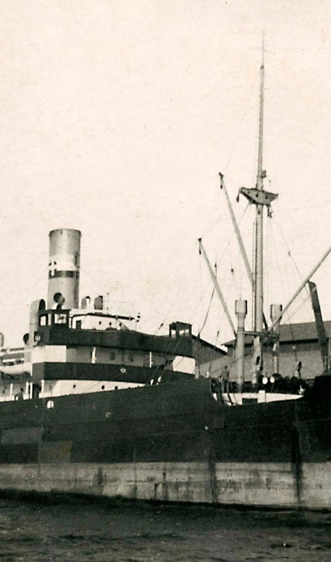 A/L Signe kai ääres