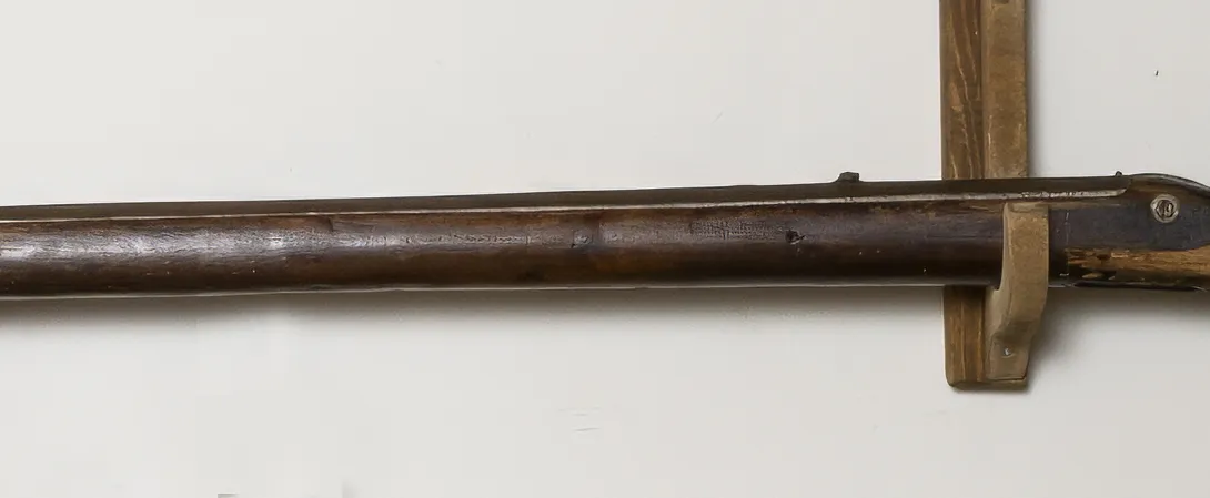 Käsmu Meremuuseum hülgepüss 