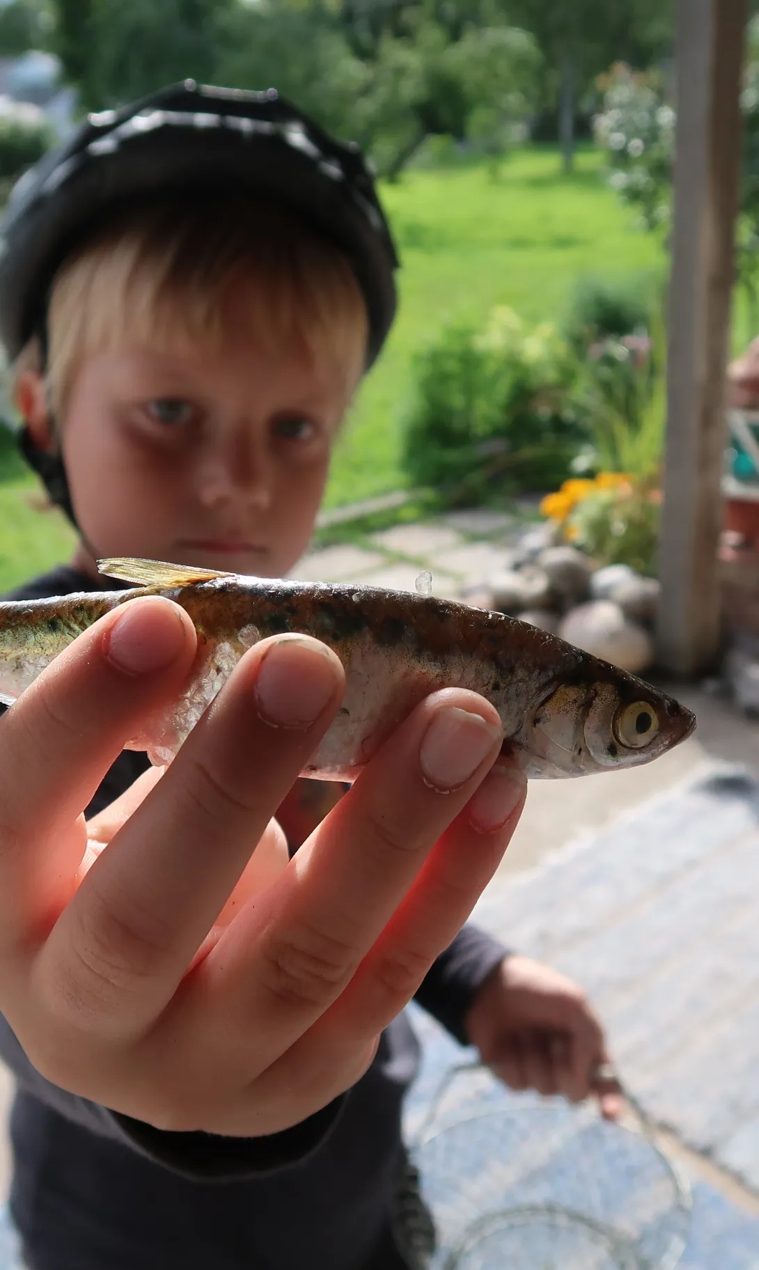 Käsmu Meremuuseum Kalandus