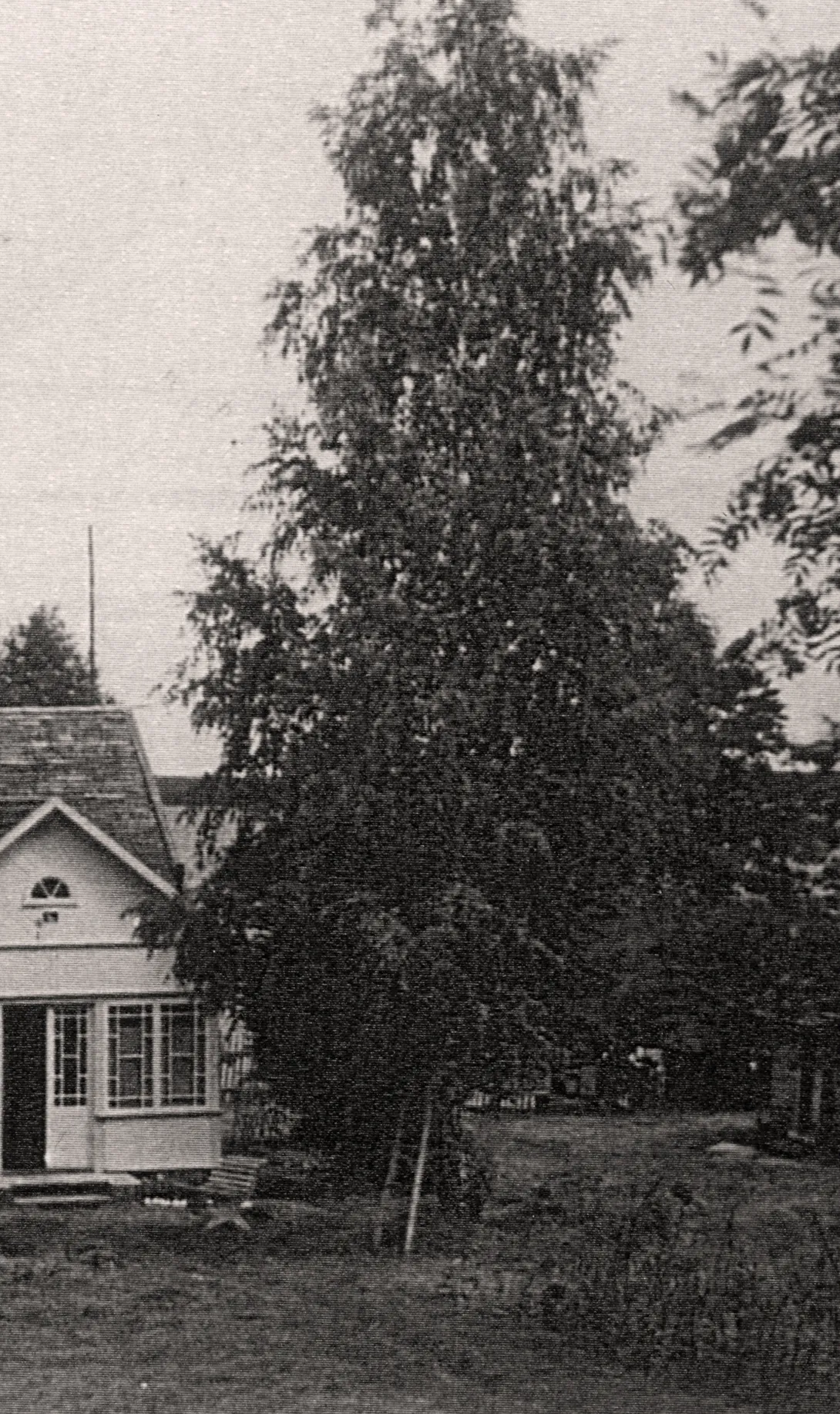 Tõnikse talu elumaja