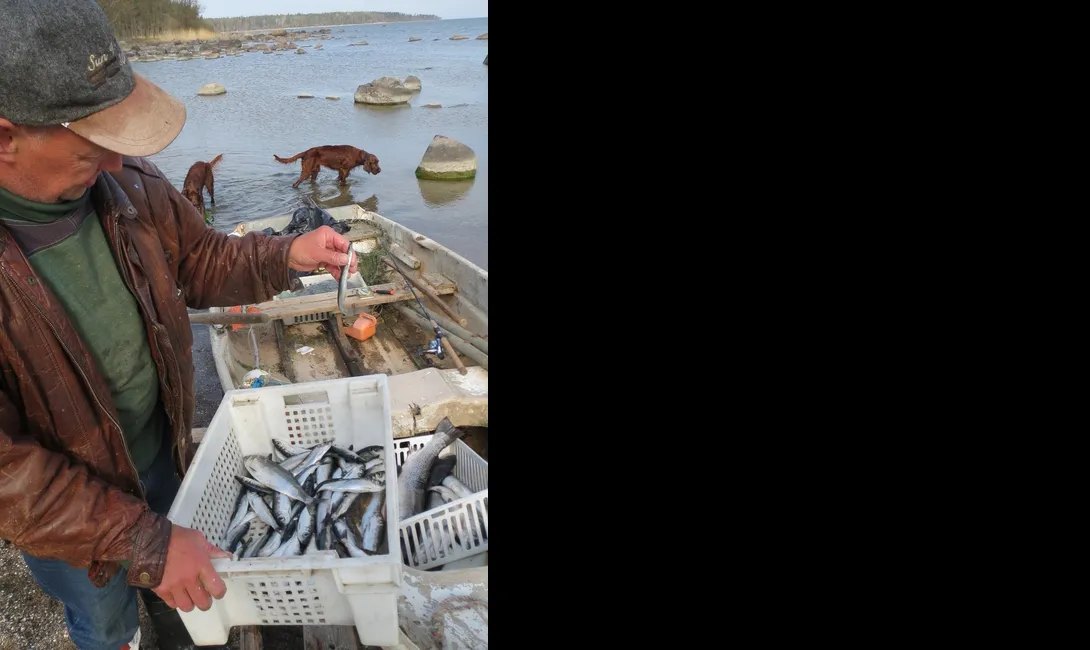 Käsmu Meremuuseum - Laager 2013 saak