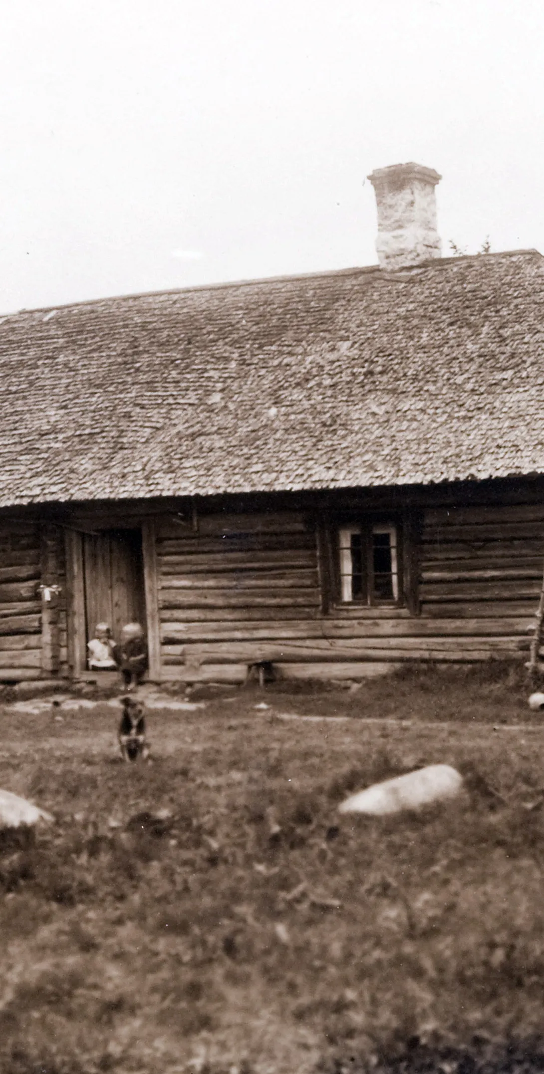 Käsmu Meremuuseum - Kalaoja