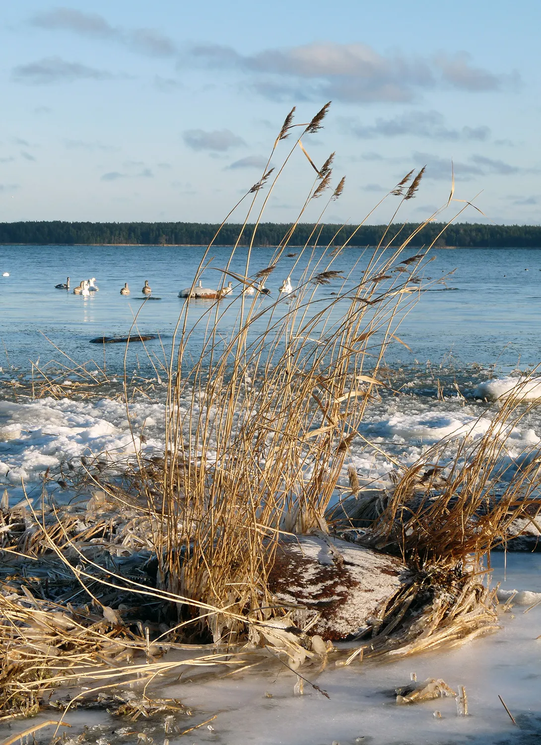 Käsmu Meremuuseum - Царующая мелодия Кясму