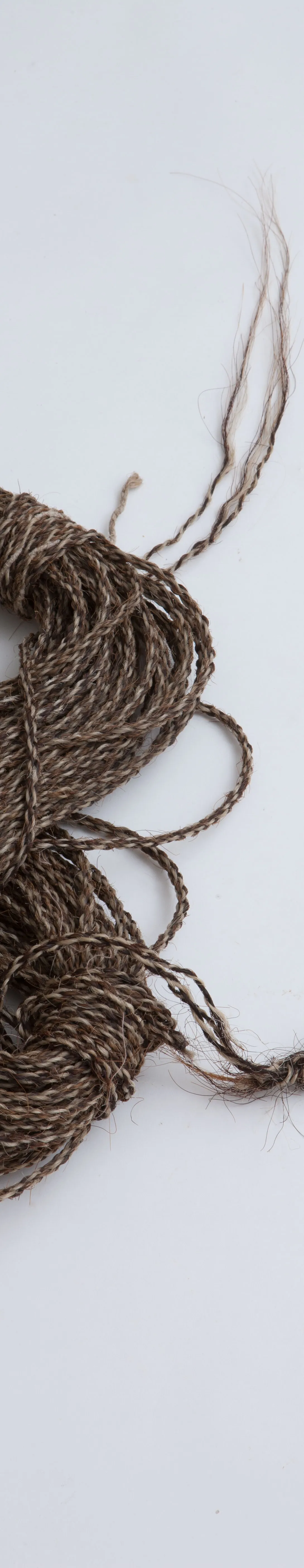 Käsmu Meremuuseum - Hülgeõng KMM/MER_626